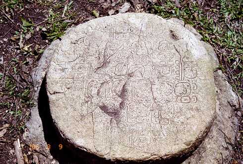 ff000459.jpg
