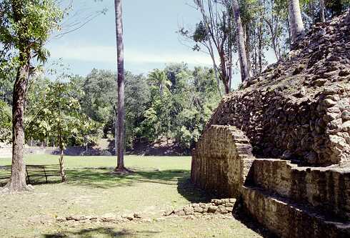 ff000461.jpg