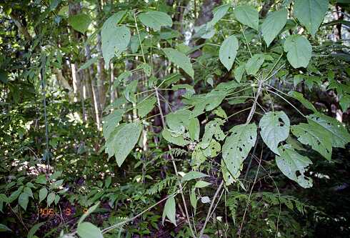 ff000488.jpg