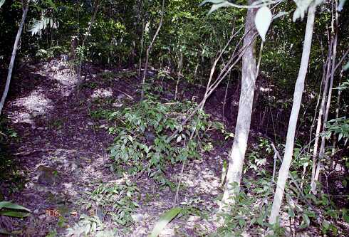 ff000492.jpg