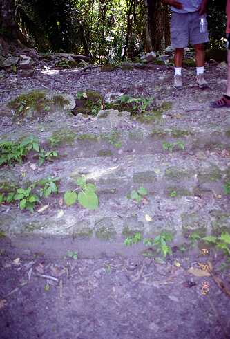 ff000690.jpg