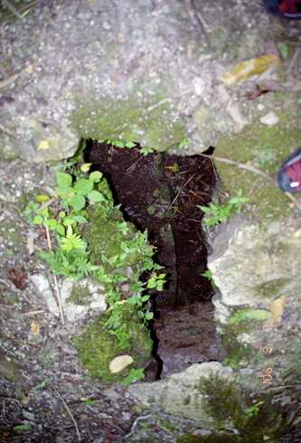 ff000691.jpg