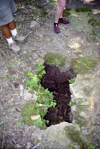 ff000692.jpg