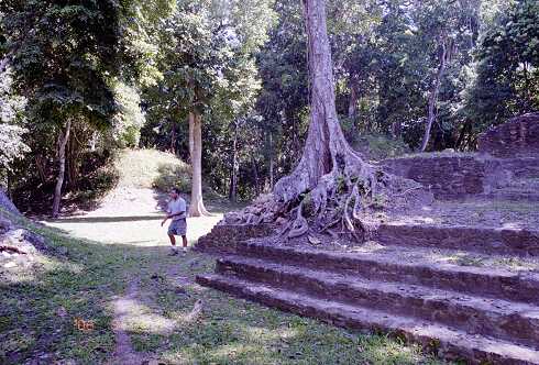 ff000700.jpg