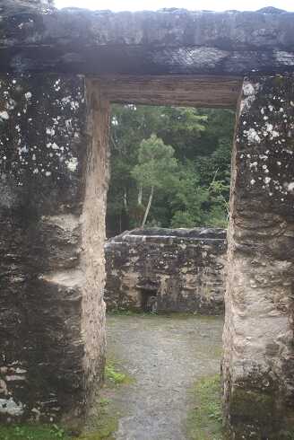 fg000014.jpg