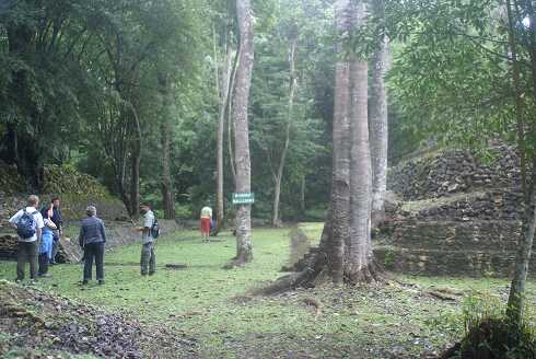 fg000021.jpg