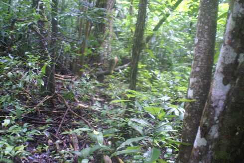 fg000034.jpg