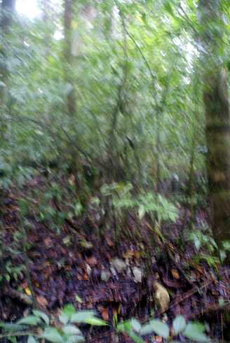 fg000067.jpg