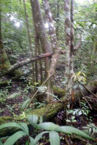 fg000072.jpg