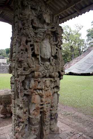 fg000449.jpg