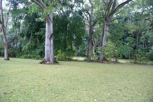 fg000672.jpg