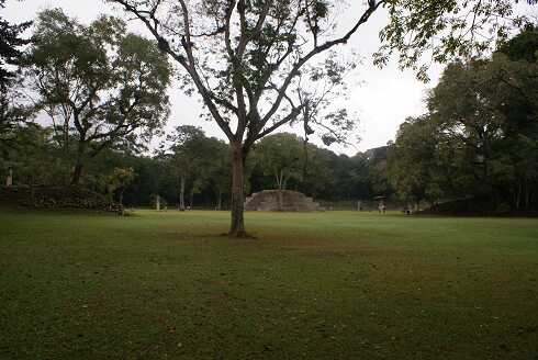 fg000676.jpg