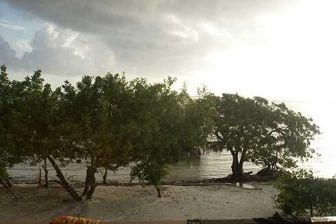 fg000947.jpg