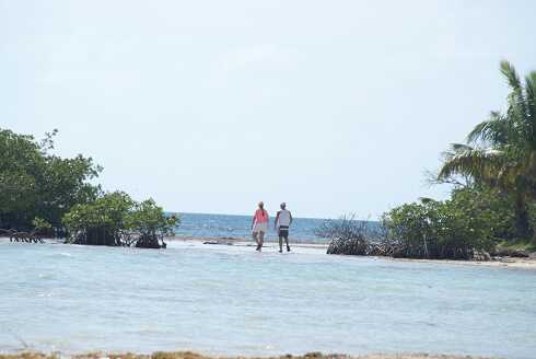 fg000975.jpg