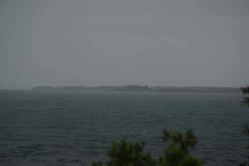 fg000990.jpg