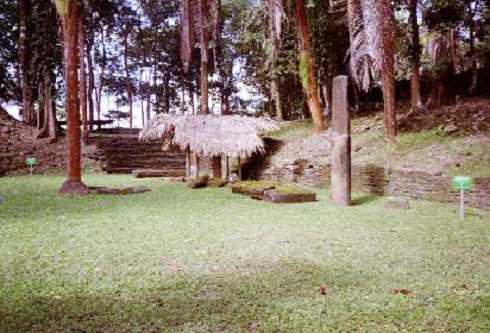 mb001239.jpg