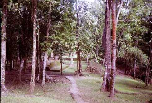 mb001241.jpg