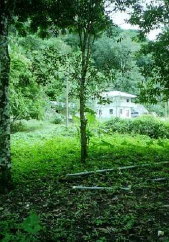mb001244.jpg