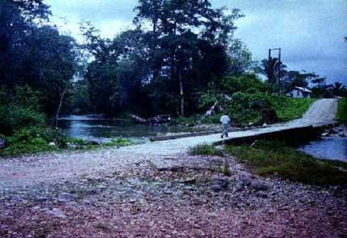mb001246.jpg