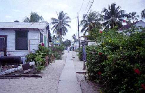 mb001254.jpg