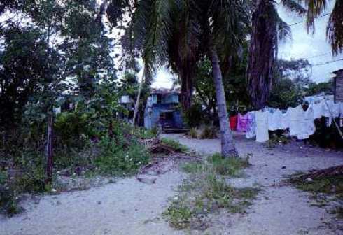 mb001255.jpg