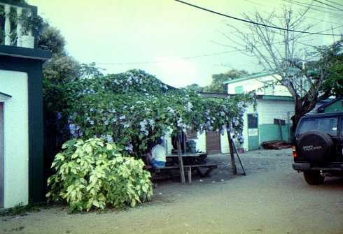 mb001259.jpg