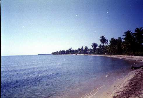 mb001267.jpg