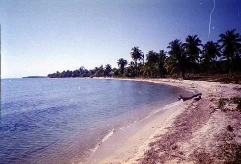 mb001268.jpg