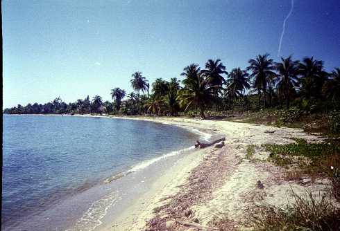 mb001269.jpg