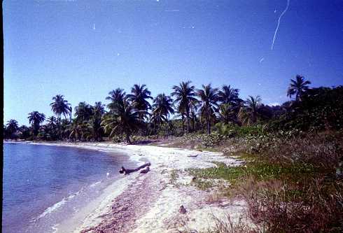 mb001270.jpg