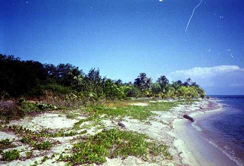 mb001273.jpg