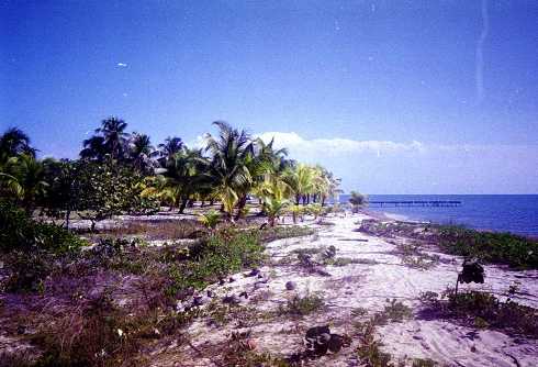 mb001277.jpg
