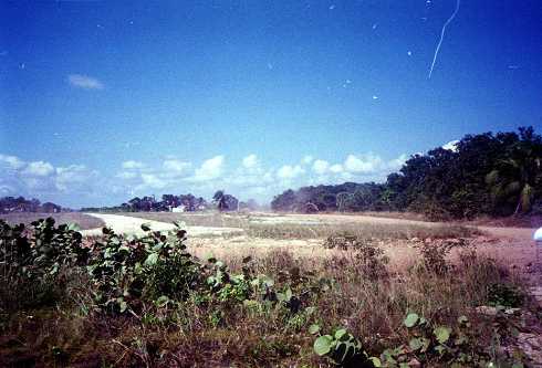 mb001278.jpg