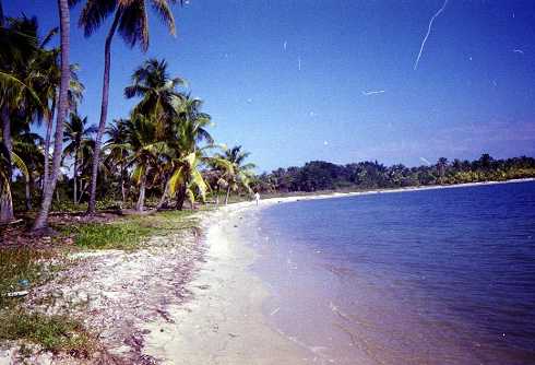mb001279.jpg