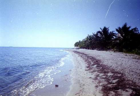 mb001280.jpg