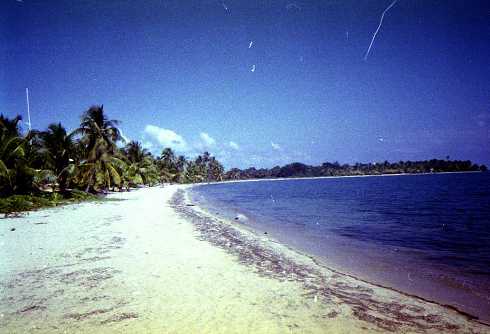mb001281.jpg