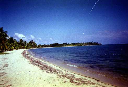mb001282.jpg