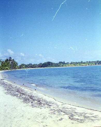 mb001283.jpg
