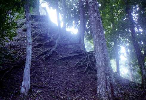 mb001301.jpg