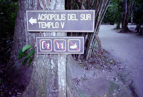 mb001306.jpg