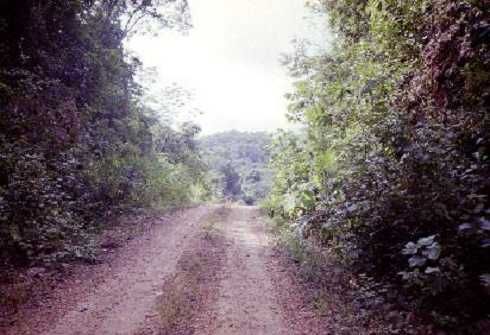 mb001360.jpg