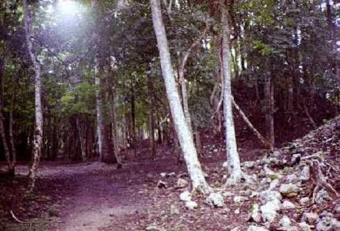 mb001363.jpg
