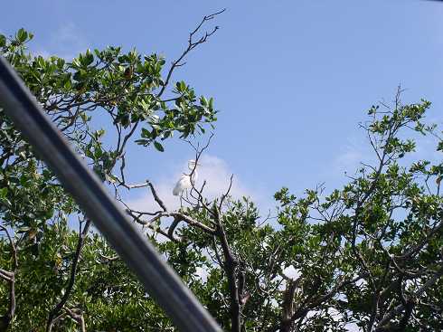 od000071.jpg