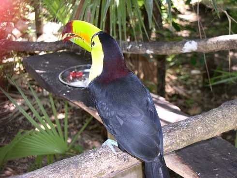 od000208.jpg
