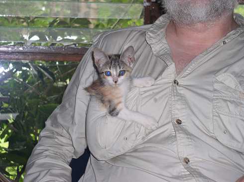 od000234.jpg