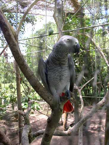 od000249.jpg