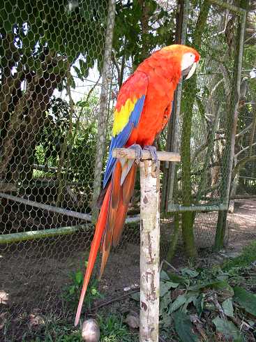 od000251.jpg