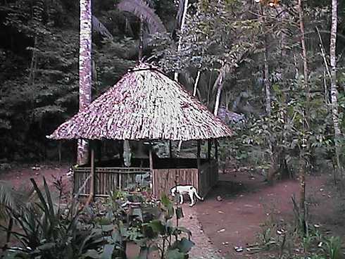 qa000378.jpg