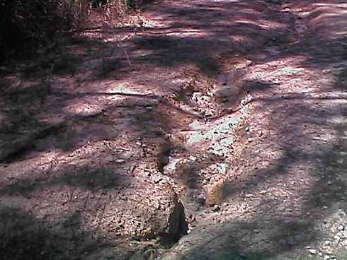 qa000402.jpg