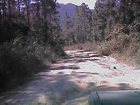 qa000403.jpg